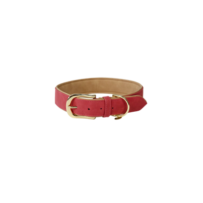 Vegan Leather Dog Collar - Kentucky