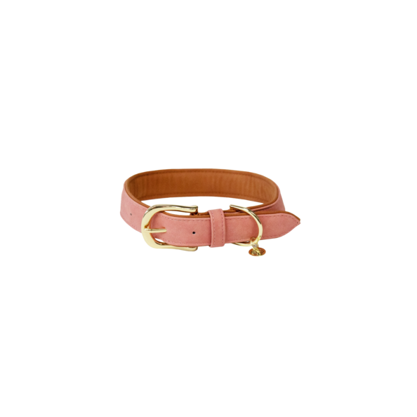 Vegan Leather Dog Collar - Kentucky