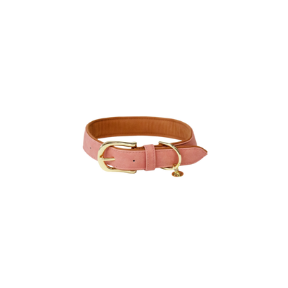 Vegan Leather Dog Collar - Kentucky
