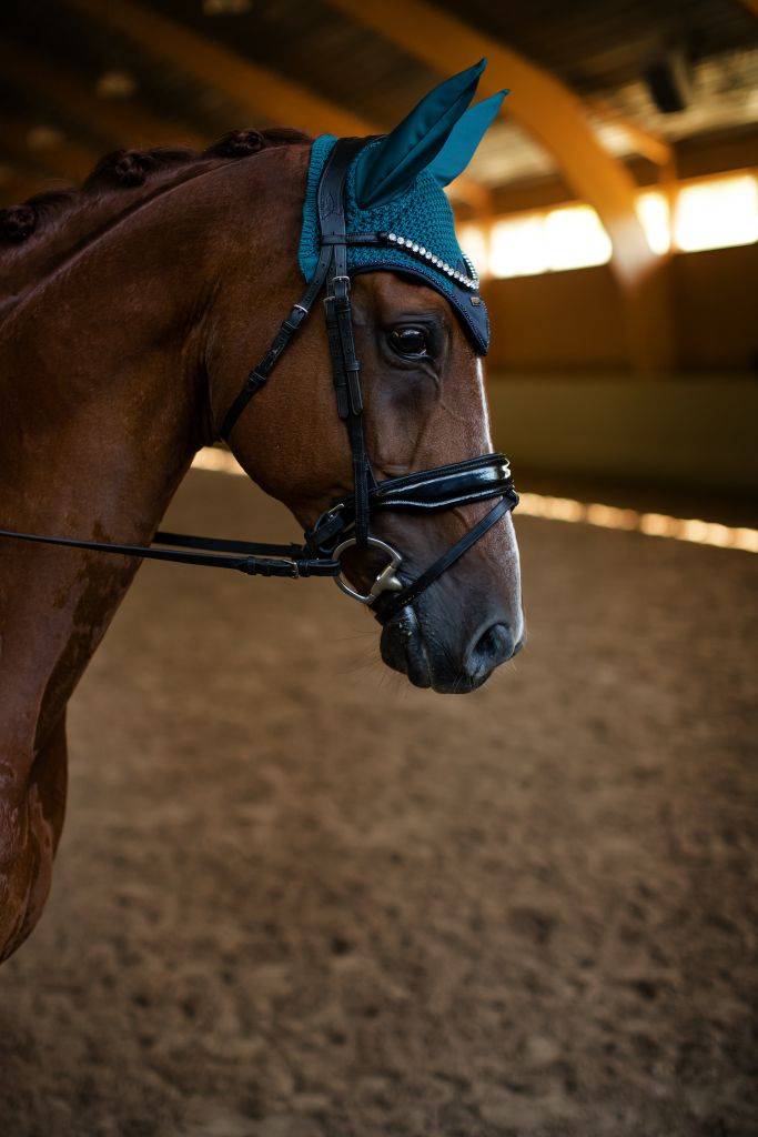 Bonnet Aurora Blues - Equestrian Stockholm
