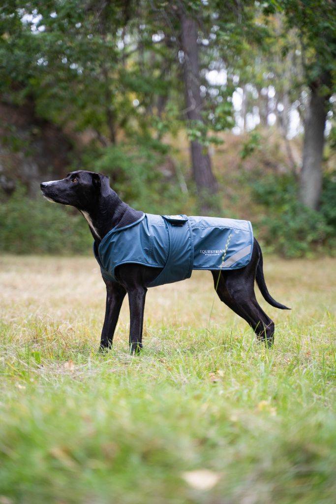 Waterproof dog blanket Aurora Blues - Equestrian Stockholm