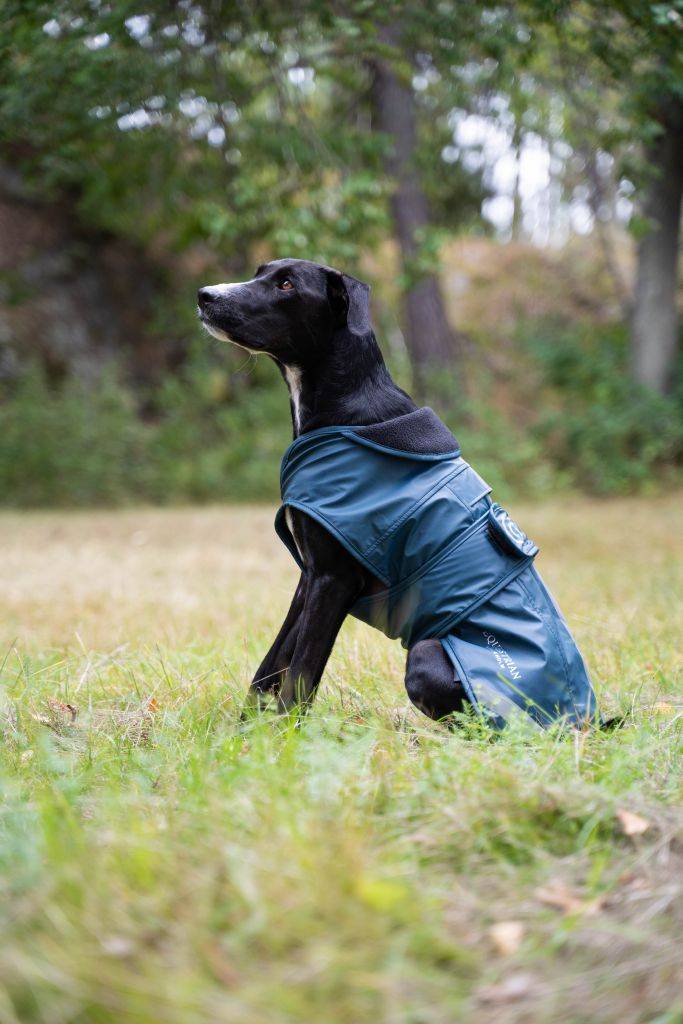 Waterproof dog blanket Aurora Blues - Equestrian Stockholm