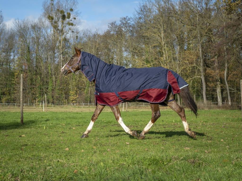 Tyrex 1200D Combo 350g Blanket - Equithème
