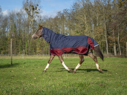Tyrex 1200D Combo 350g Blanket - Equithème