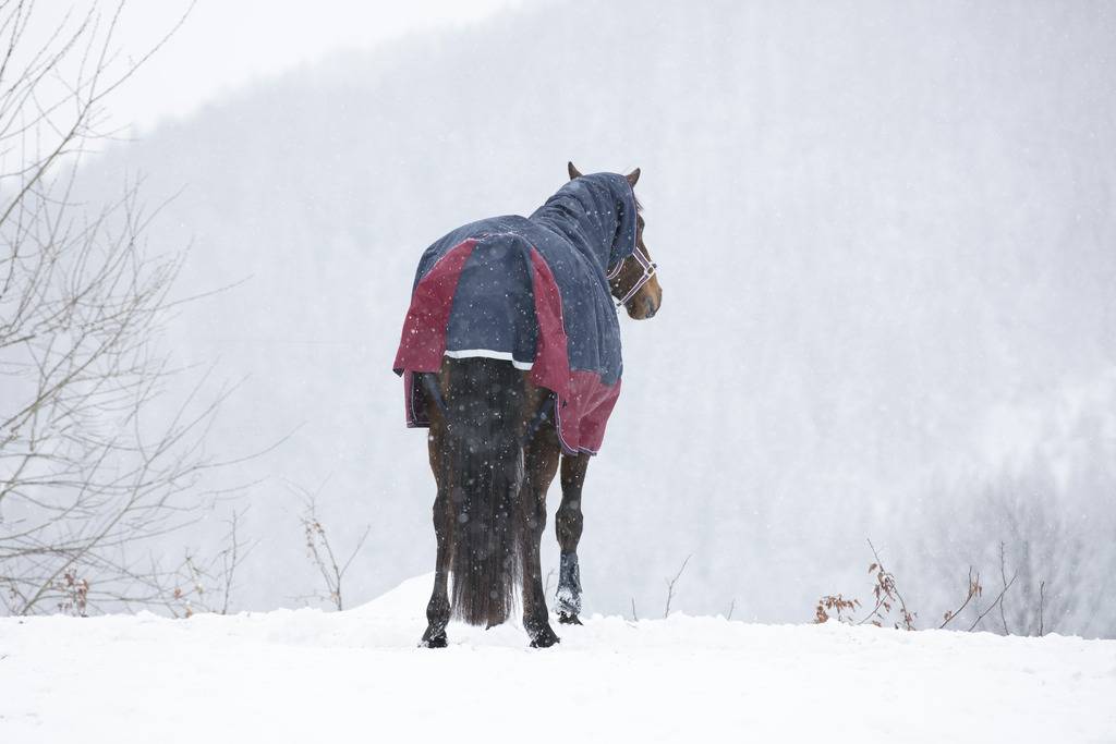 Tyrex 1200D Combo 350g Blanket - Equithème