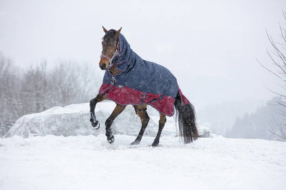 Tyrex 1200D Combo 350g Blanket - Equithème