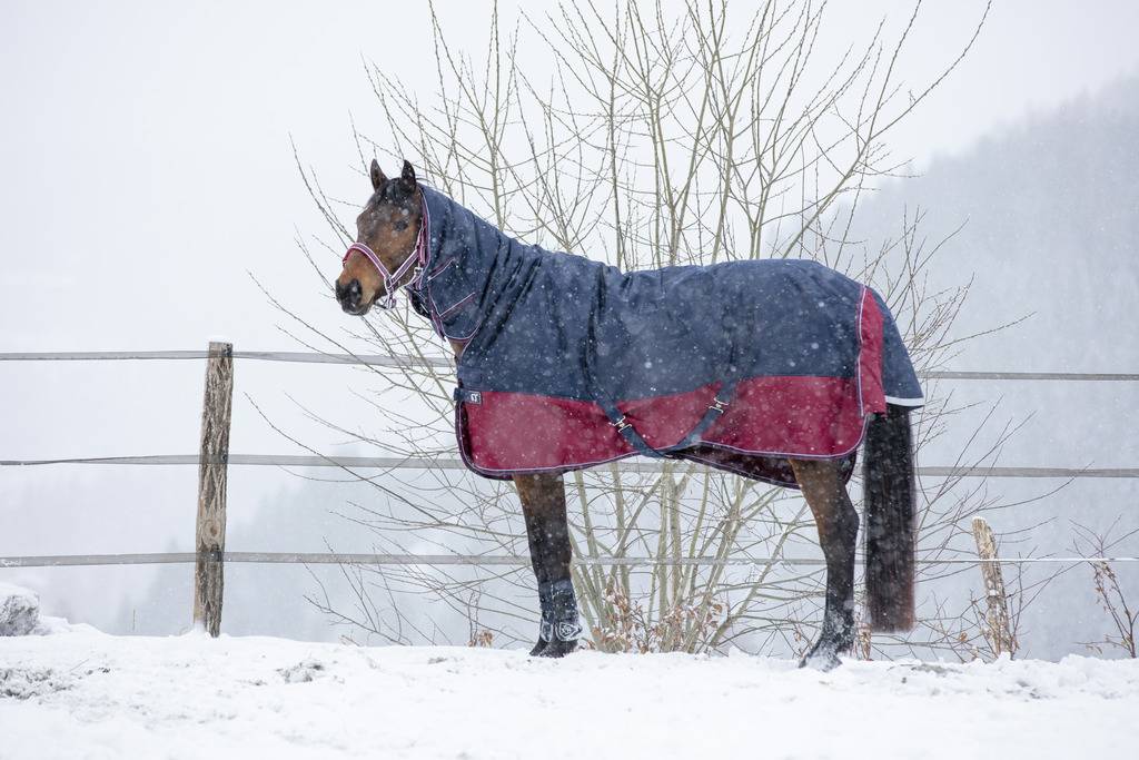 Tyrex 1200D Combo 350g Blanket - Equithème