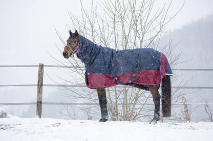 Tyrex 1200D Combo 350g Blanket - Equithème