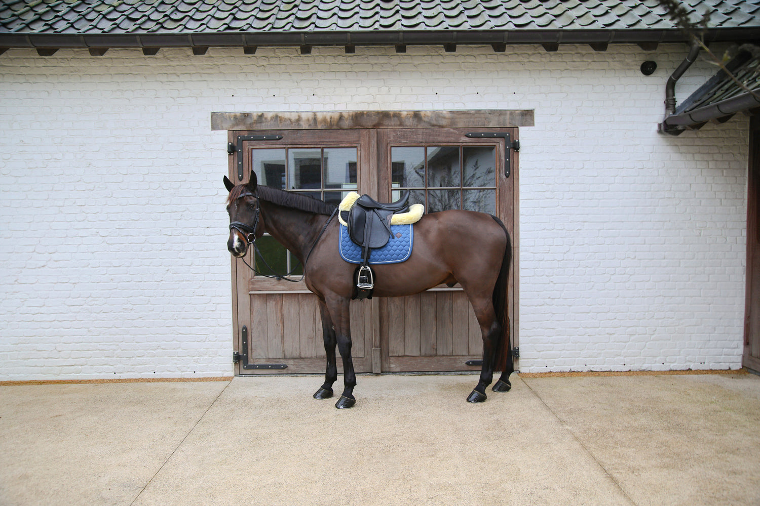 Tapis de selle Melange DRESSAGE - Kentucky