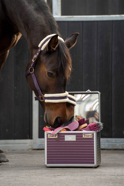 Boite de pansage Grooming box Shiny Classic - Imperial Riding