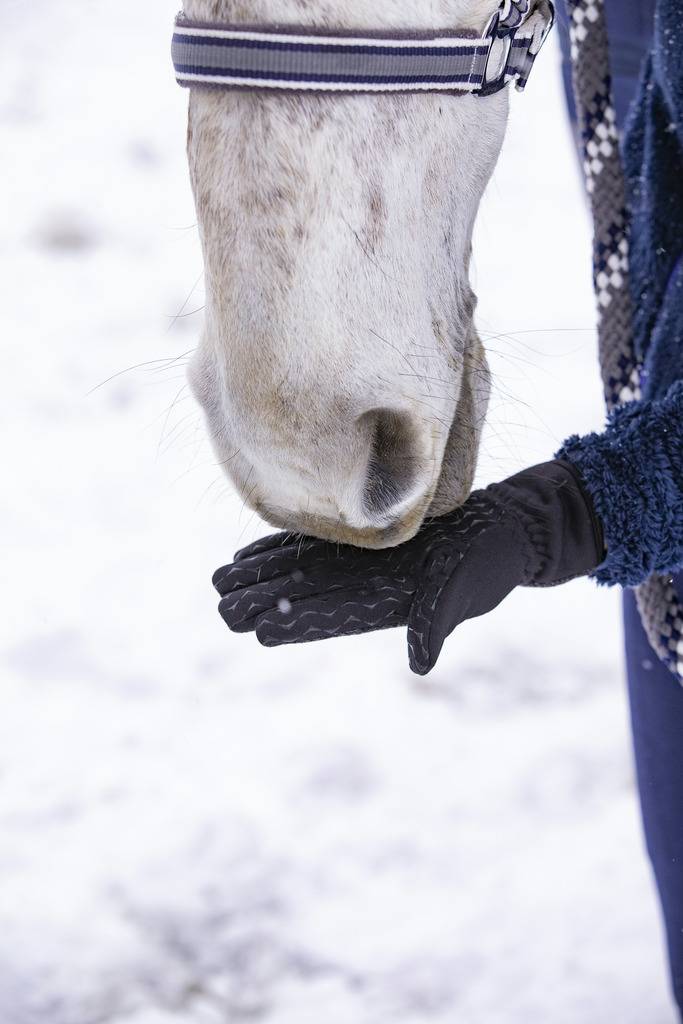 Gants Hiver "Digital" - Equithème