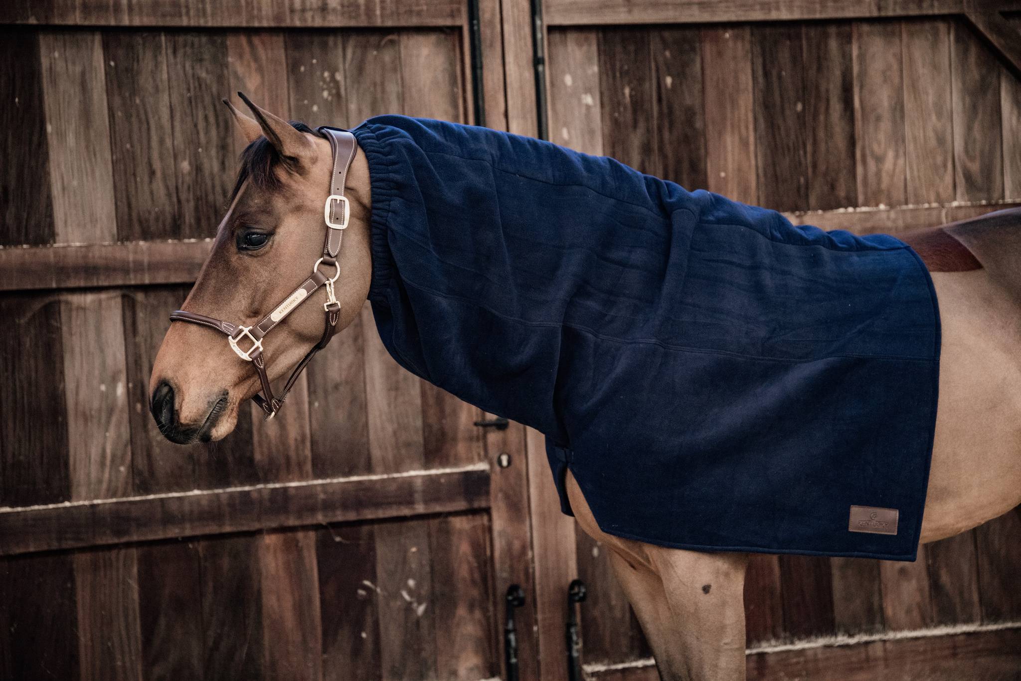 Heavy Fleece Scarf - Kentucky