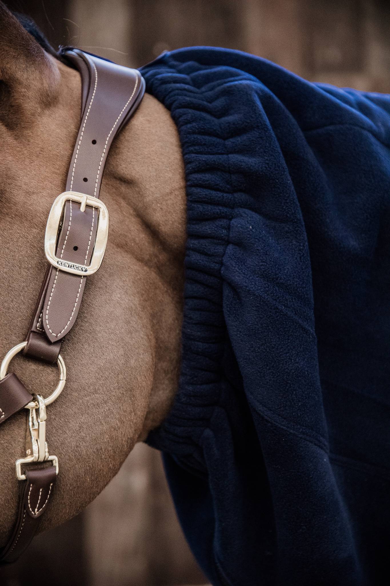 Heavy Fleece Scarf - Kentucky