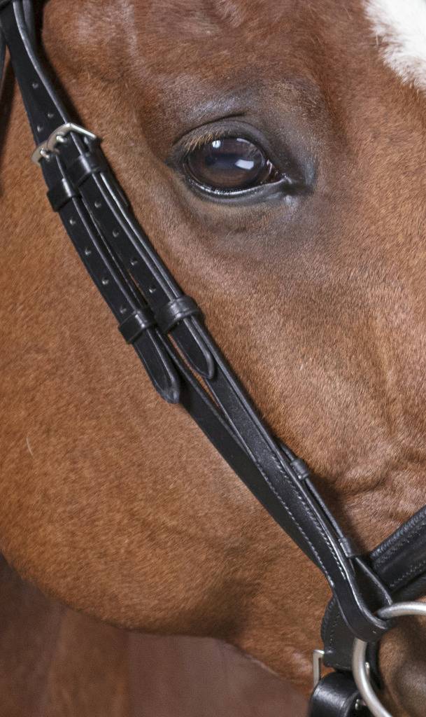 Pro Strass Bridle - Norton