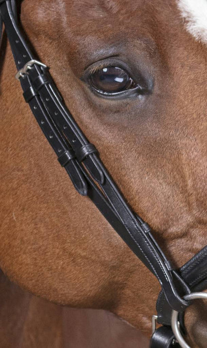 Pro Strass Bridle - Norton
