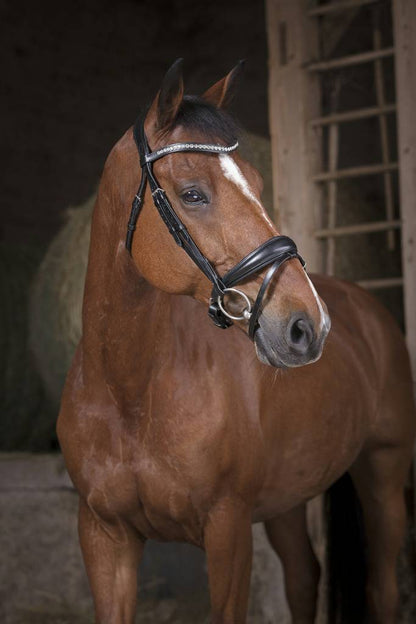 Pro Strass Bridle - Norton