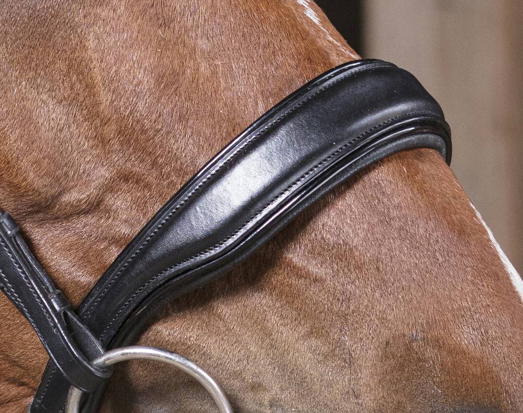 Comfort bridle - Norton PRO