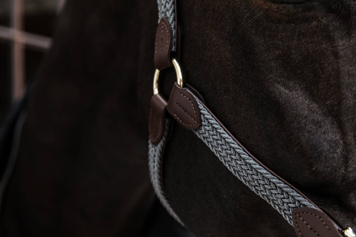 Braided nylon halter - Kentucky