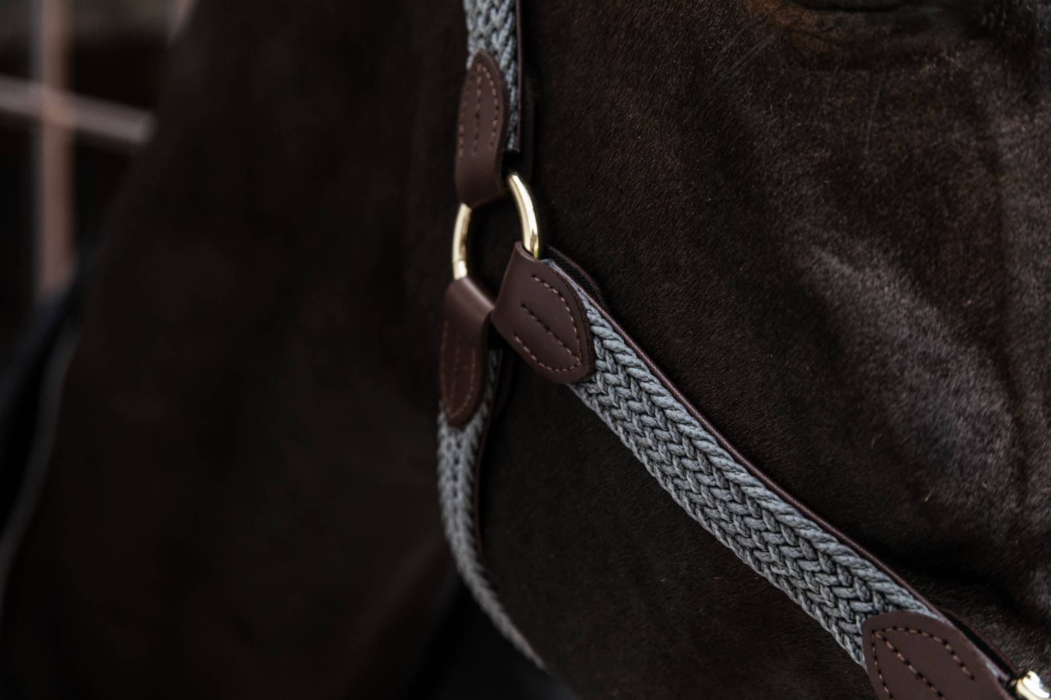 Braided nylon halter - Kentucky