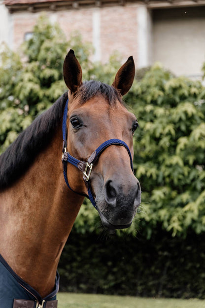 Braided nylon halter - Kentucky