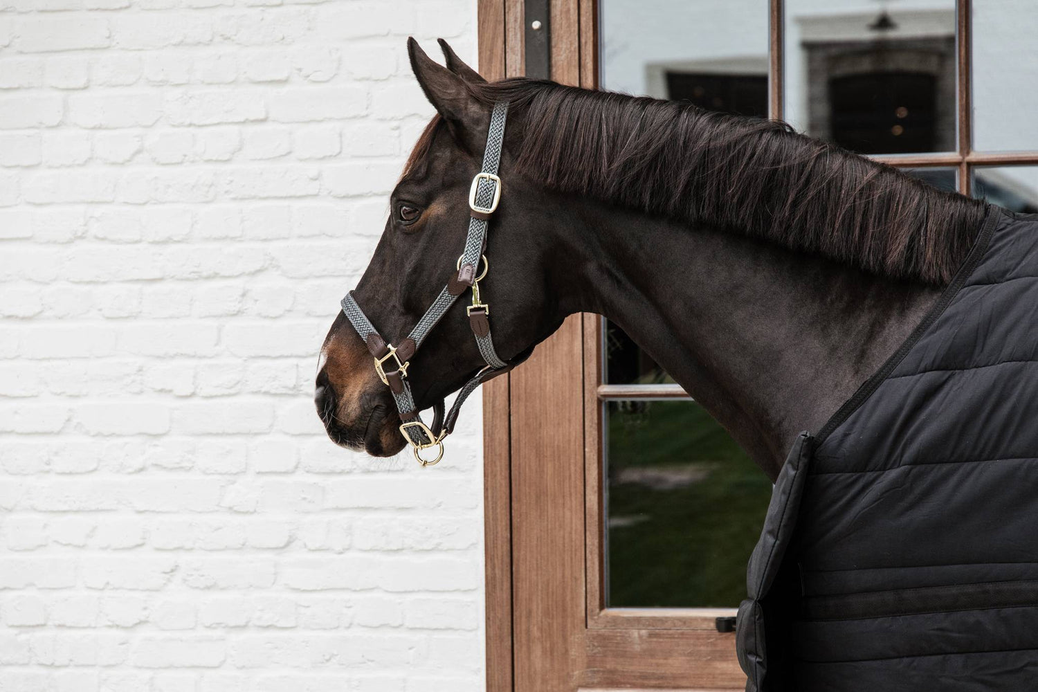 Braided nylon halter - Kentucky