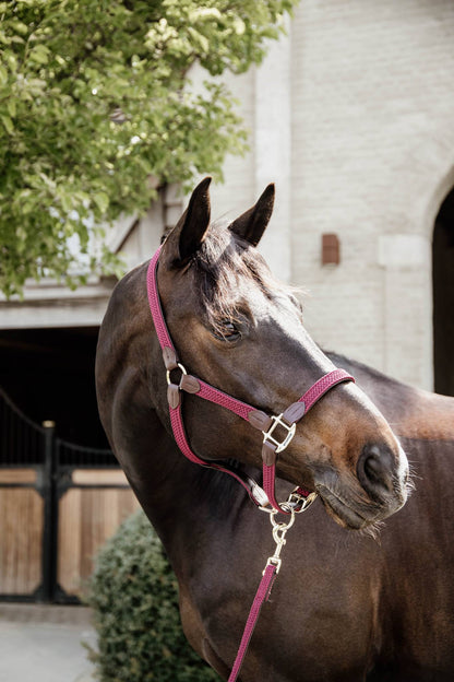 Braided nylon halter - Kentucky