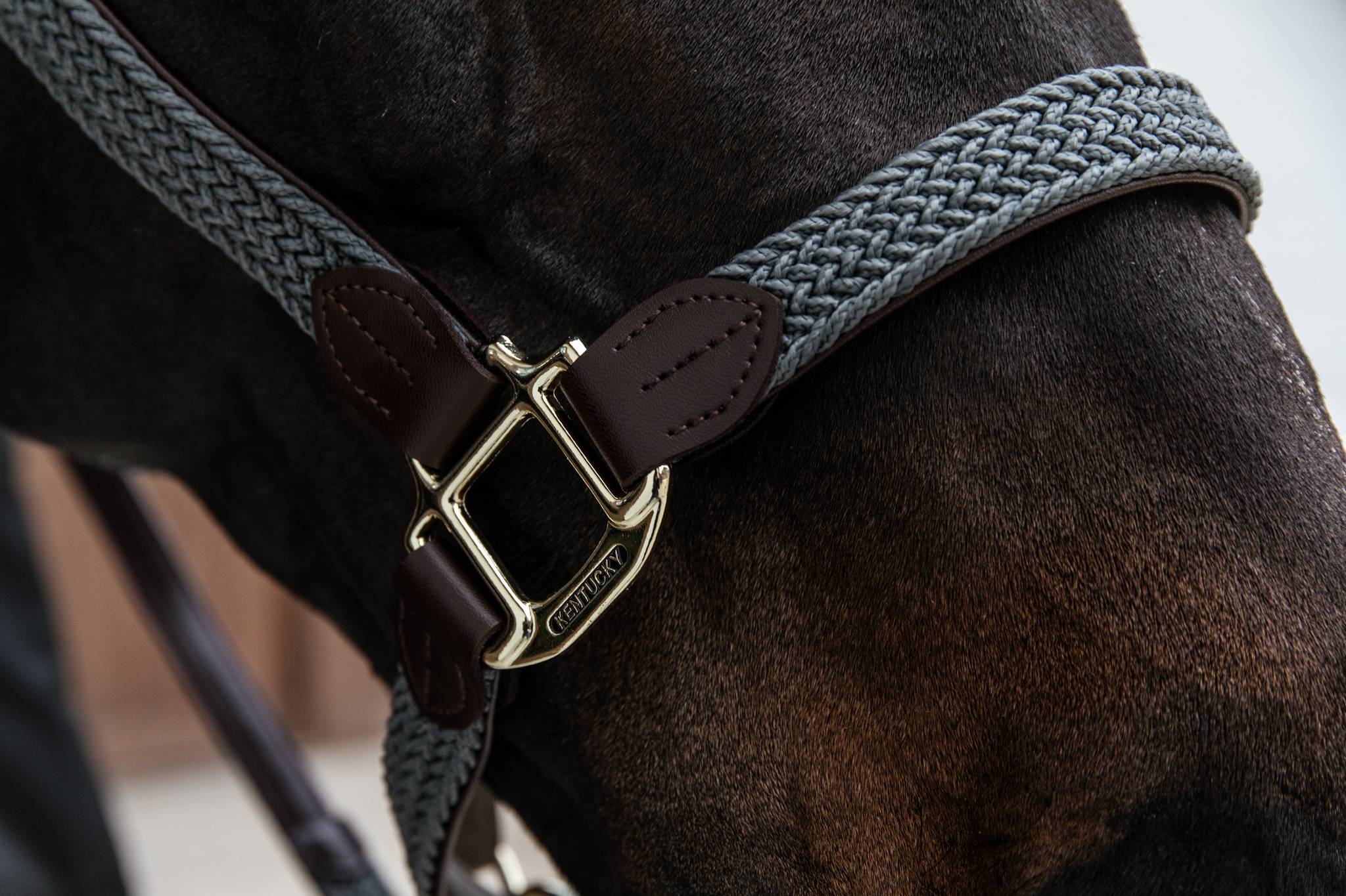 Braided nylon halter - Kentucky