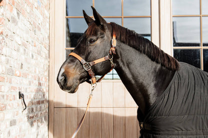 Braided nylon halter - Kentucky