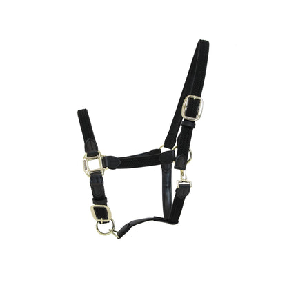 Braided nylon halter - Kentucky