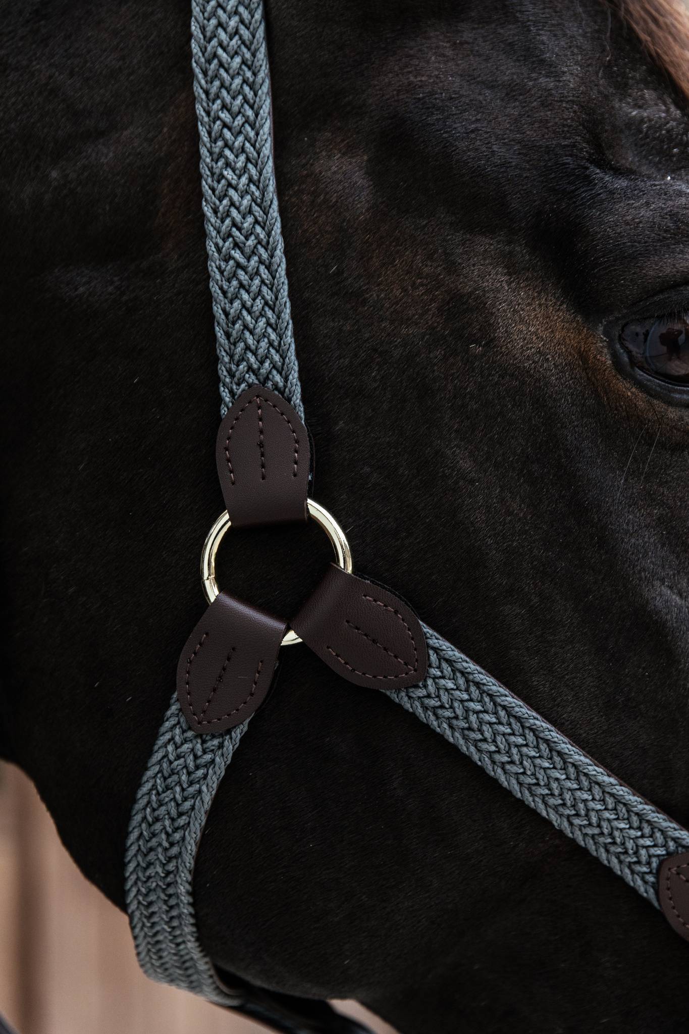 Braided nylon halter - Kentucky