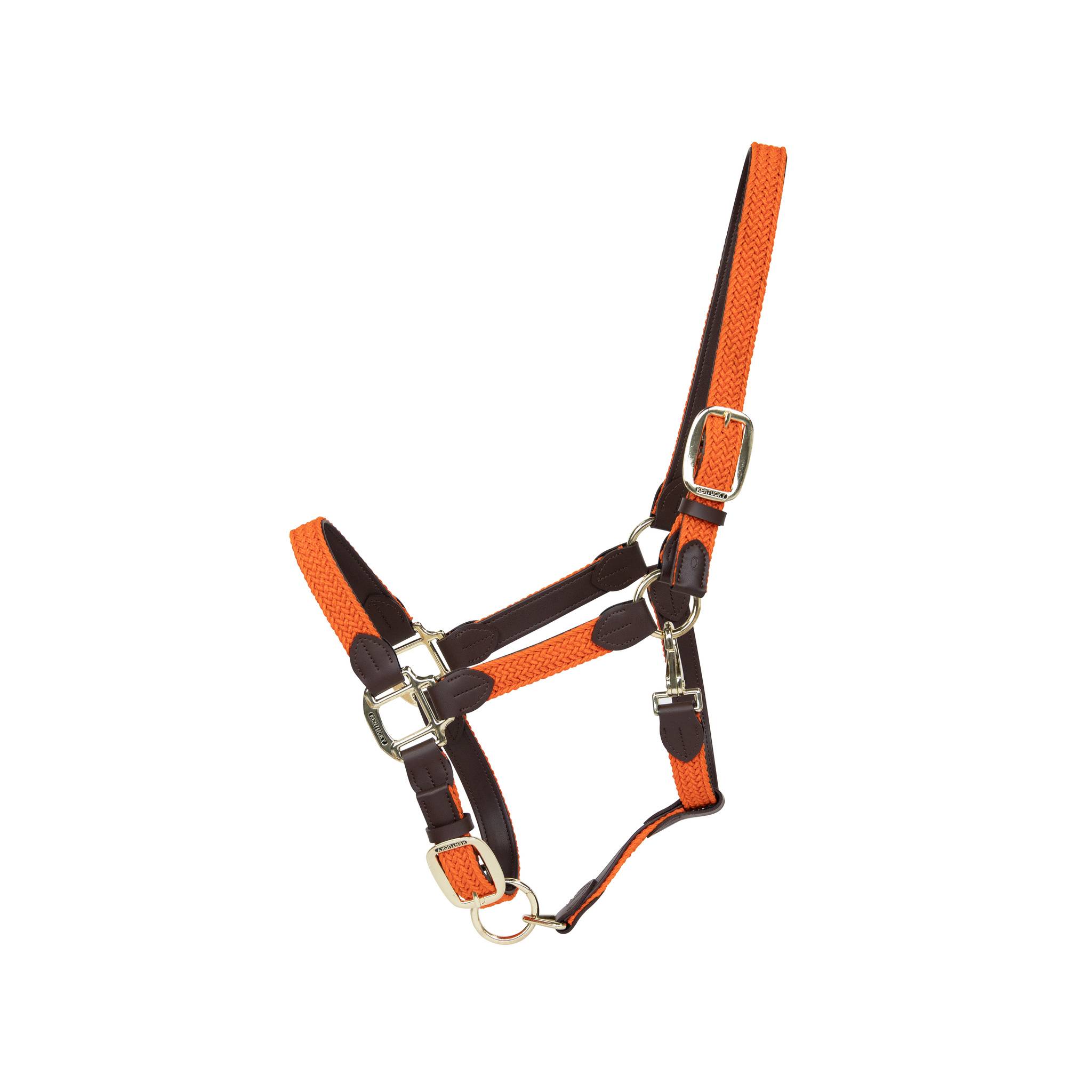 Braided nylon halter - Kentucky