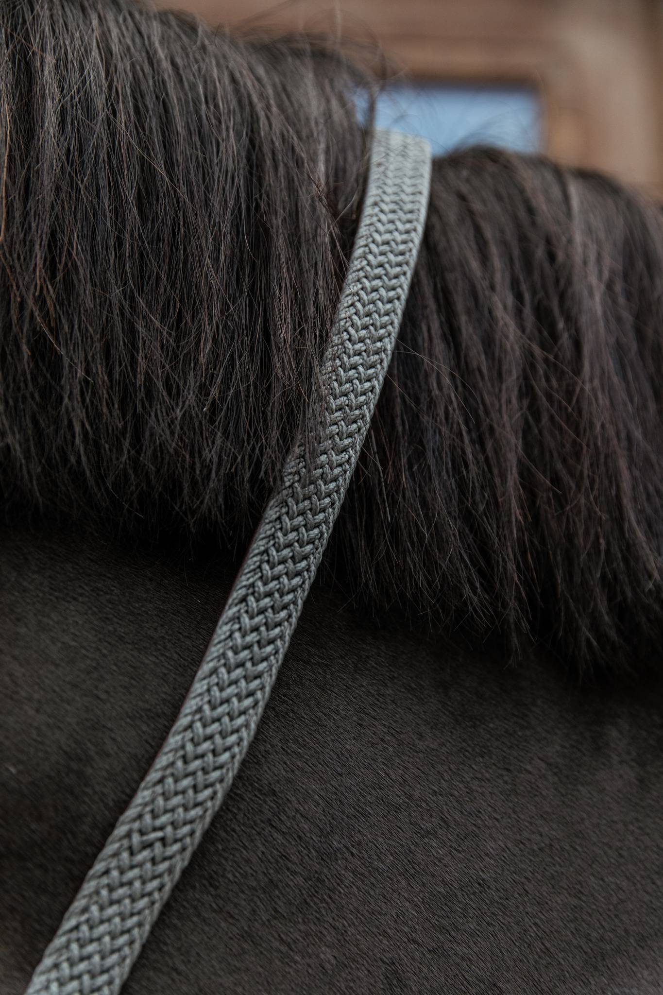 Braided Nylon Lanyard - Kentucky