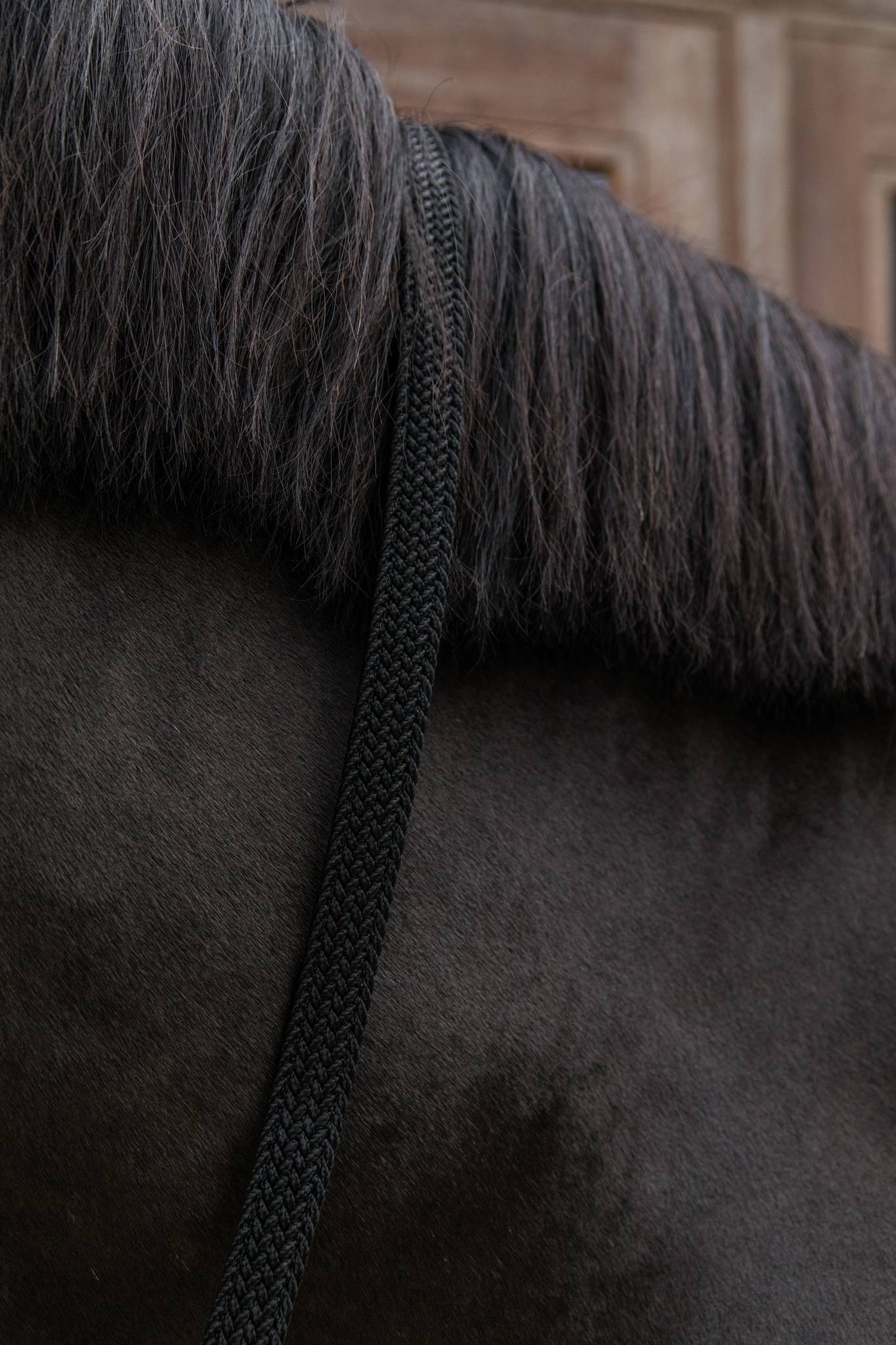 Braided Nylon Lanyard - Kentucky