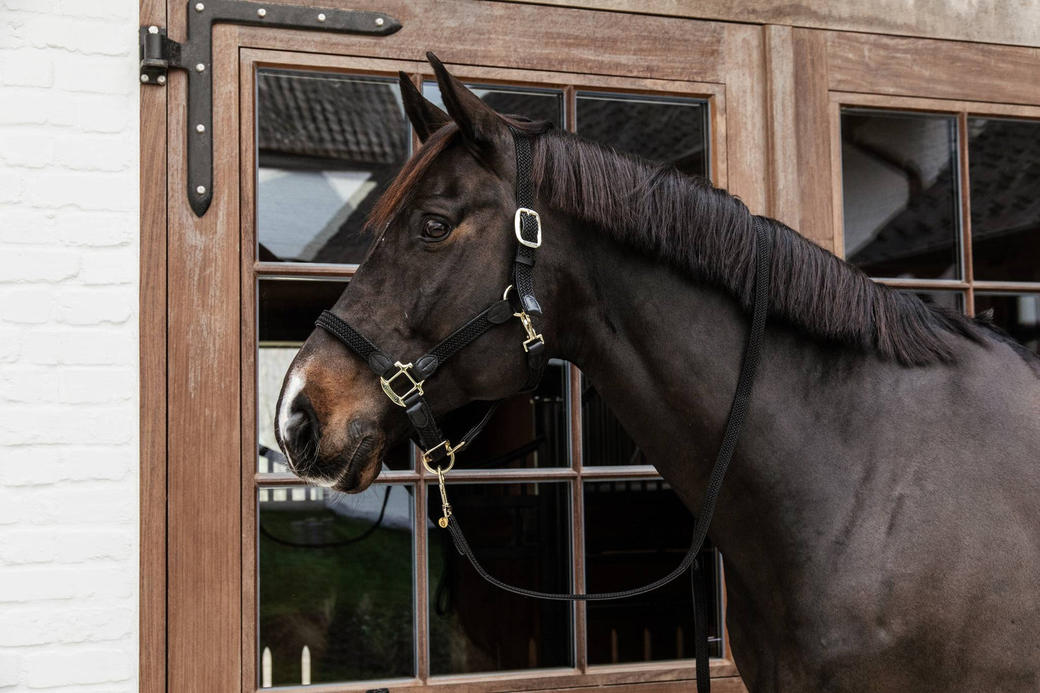 Braided nylon halter - Kentucky