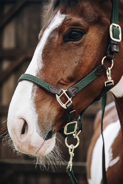 Braided nylon halter - Kentucky