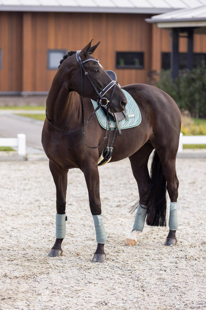 Sky velvet carpet - Imperial Riding