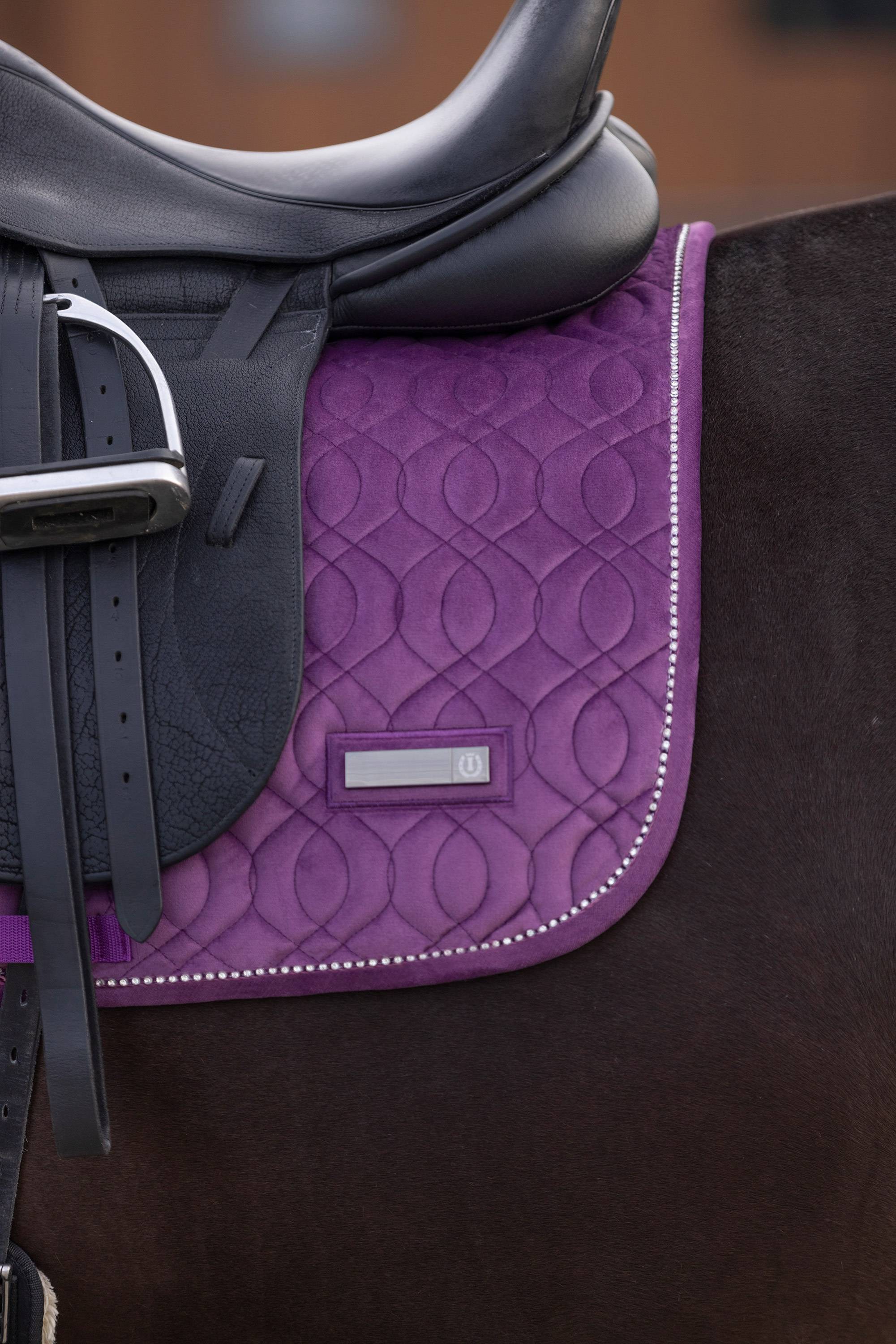 Sky velvet carpet - Imperial Riding