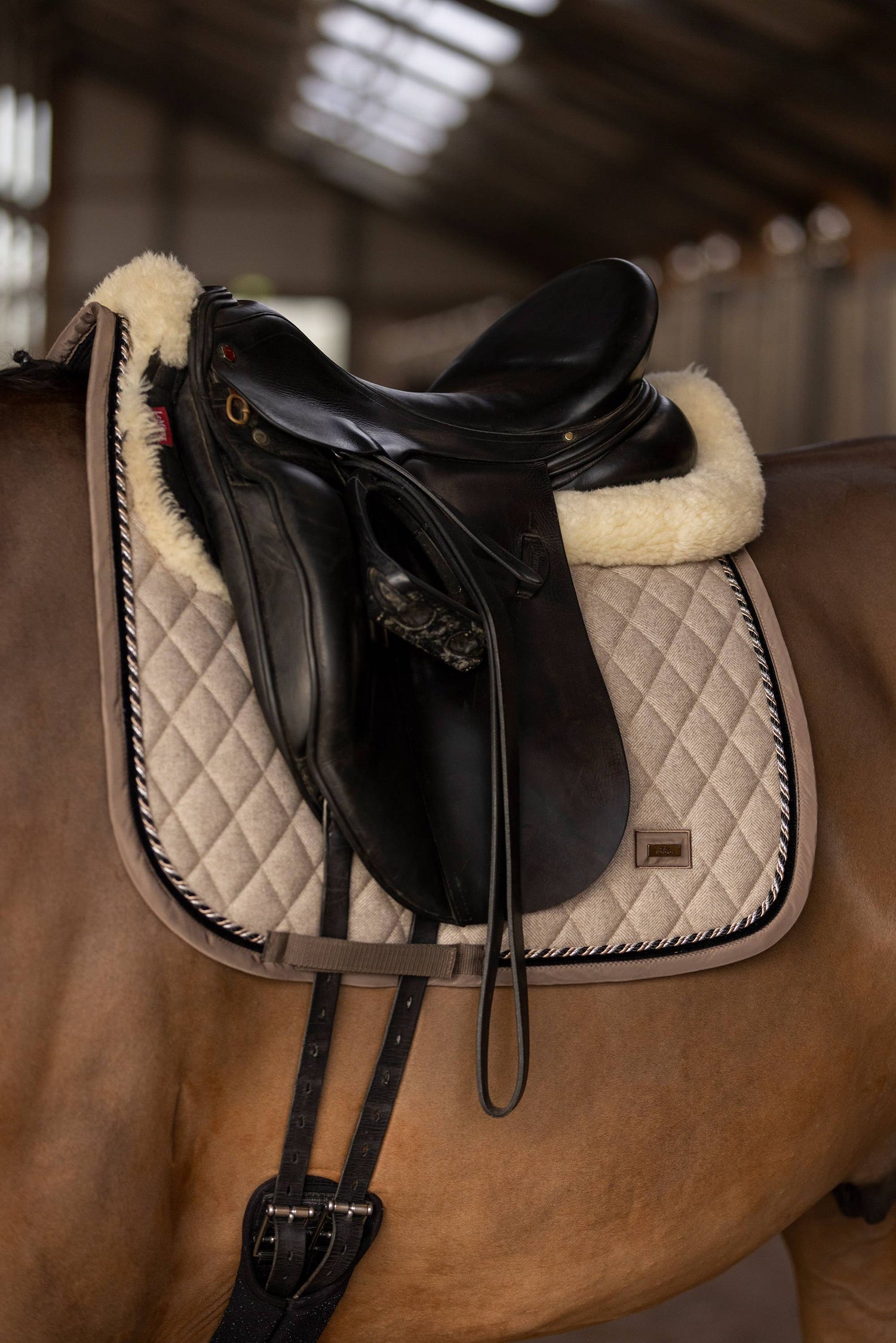 Francis saddle pad - HV Polo