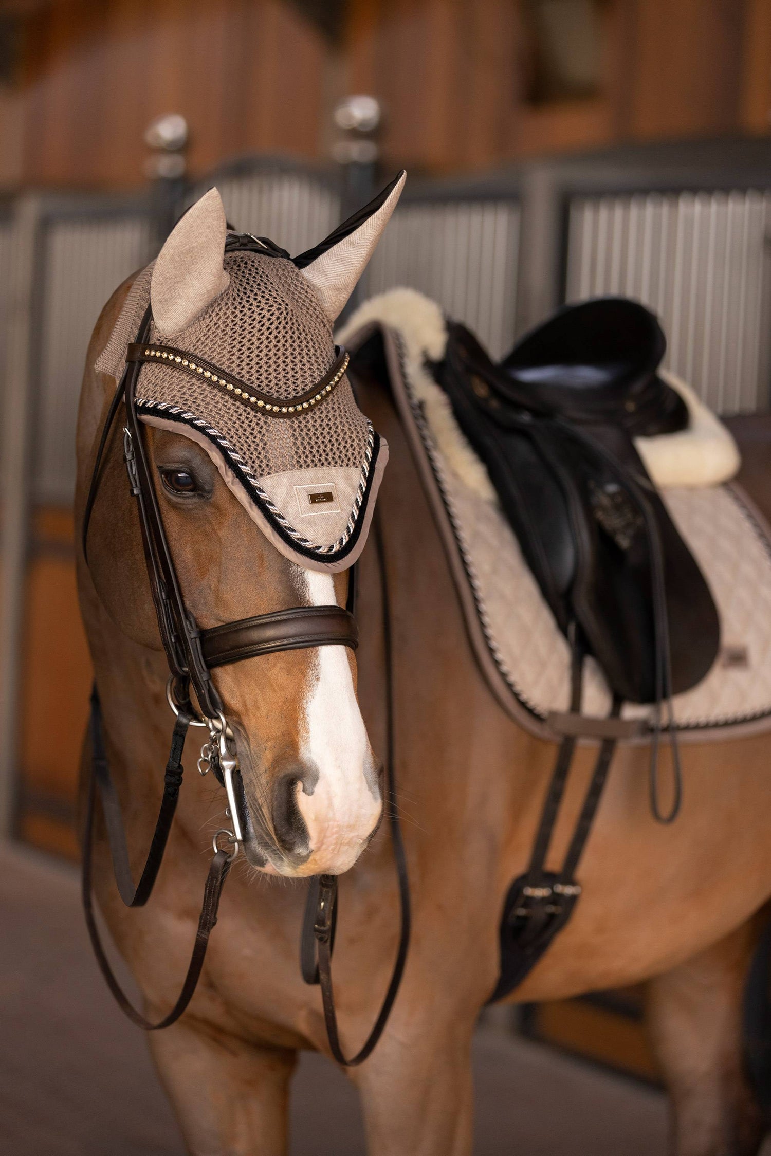 Francis saddle pad - HV Polo