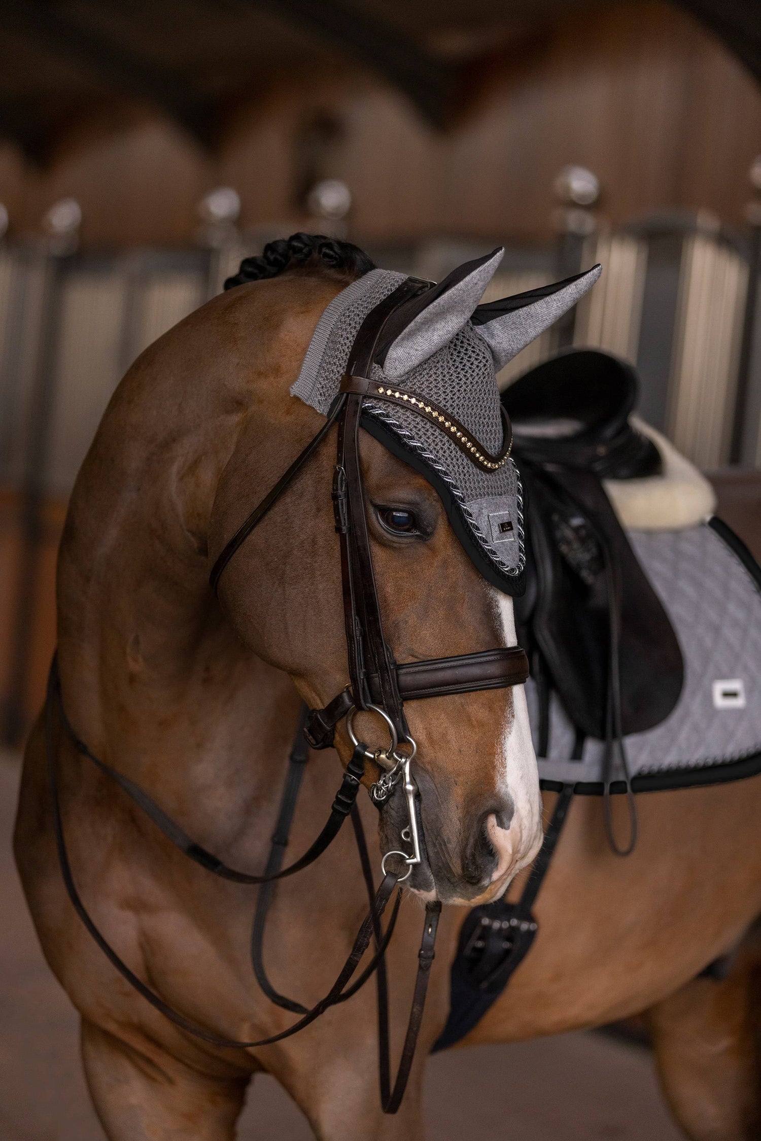 Francis saddle pad - HV Polo
