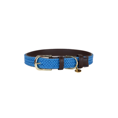 Collier pour chien en Nylon tressé - Kentucky