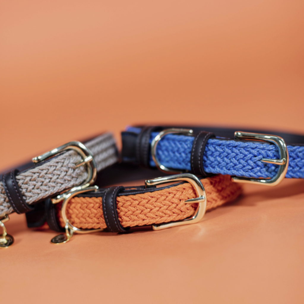 Collier pour chien en Nylon tressé - Kentucky