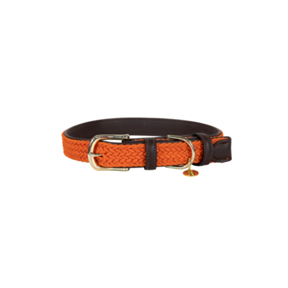 Collier pour chien en Nylon tressé - Kentucky