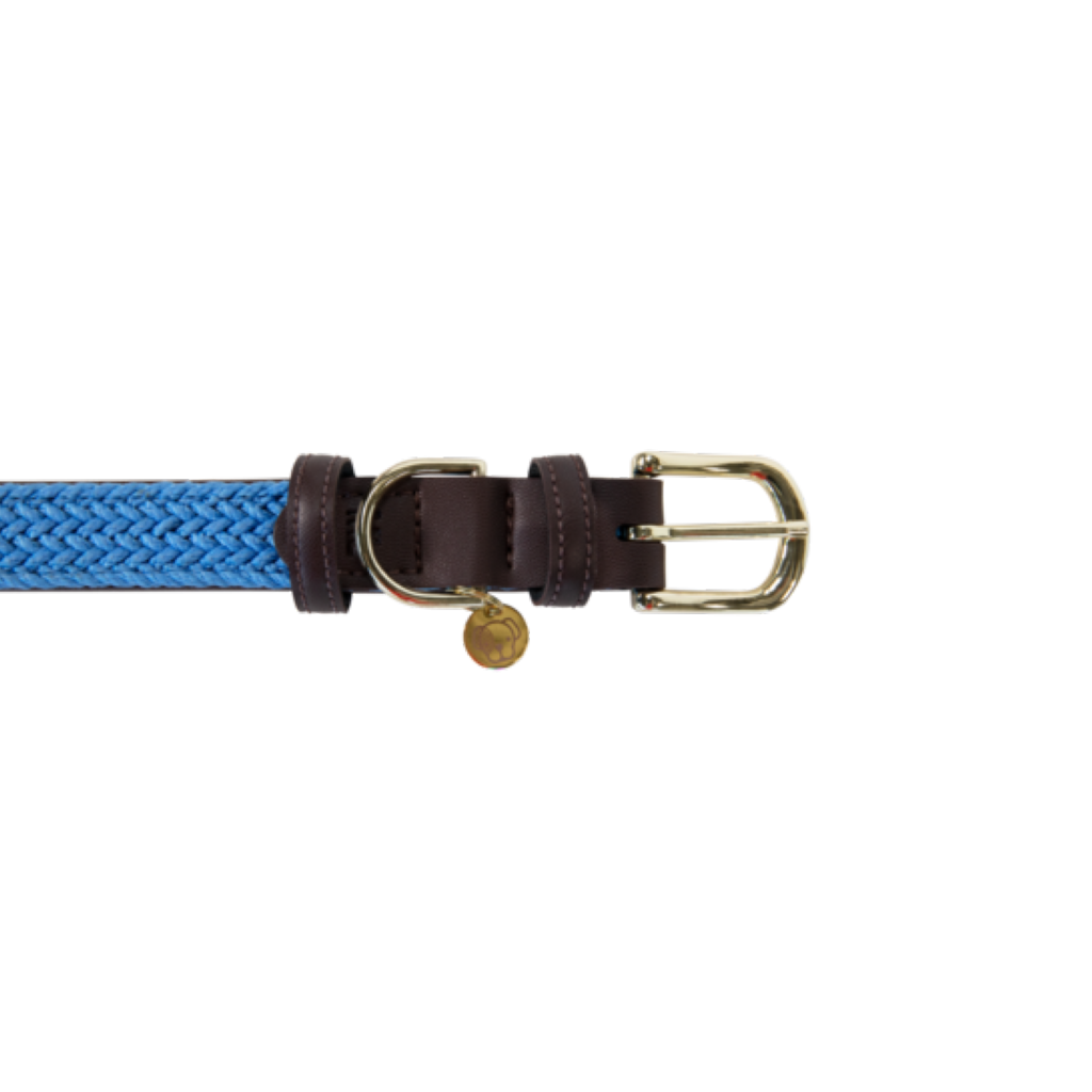 Collier pour chien en Nylon tressé - Kentucky