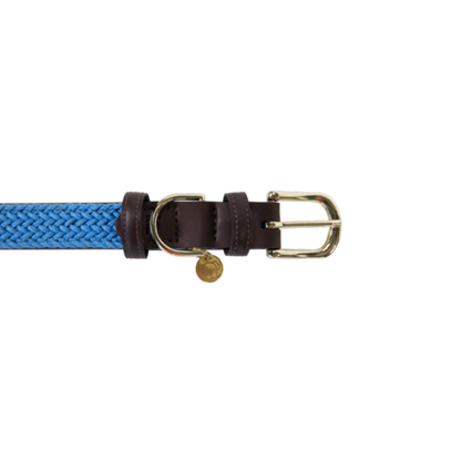 Collier pour chien en Nylon tressé - Kentucky