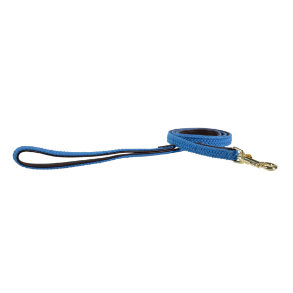Braided Nylon Dog Leash - Kentucky