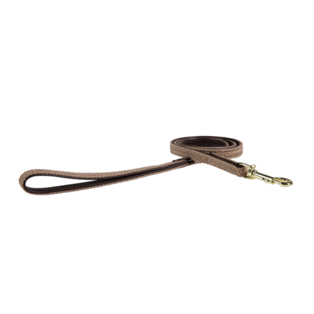 Braided Nylon Dog Leash - Kentucky