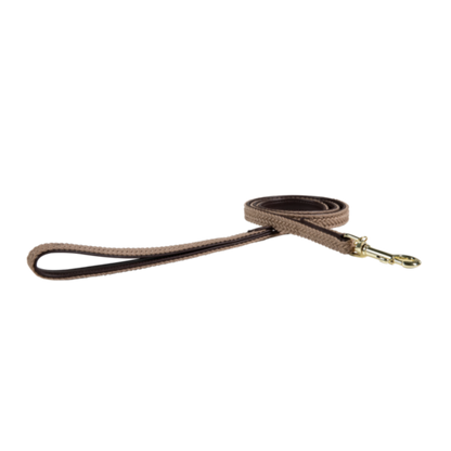 Braided Nylon Dog Leash - Kentucky