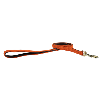Braided Nylon Dog Leash - Kentucky