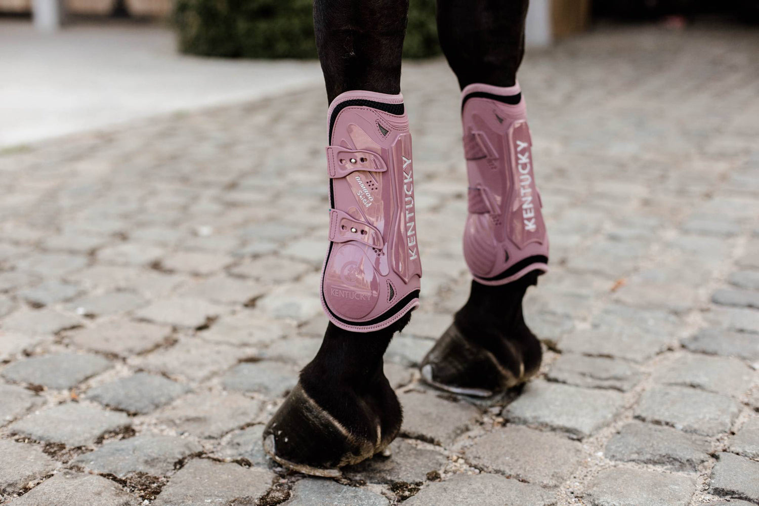 Bamboo Elastic Gaiters - Kentucky